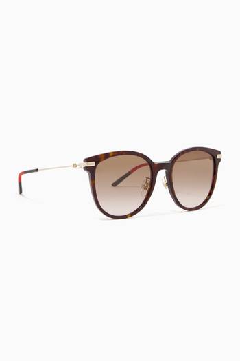 hover state of Round Cat Eye Sunglasses in Acetate