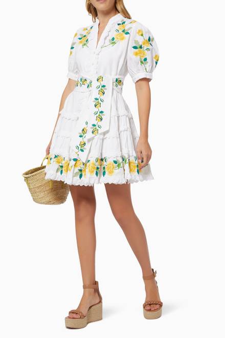 hover state of Rosa Embroidered Mini Dress in Cotton  