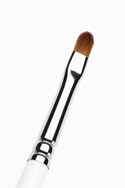 hover state of Lip Brush 