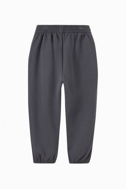 hover state of Political Campaign Sweatpants in Cotton Fleece   