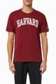 thumbnail of College Print T-shirt in Cotton      #0