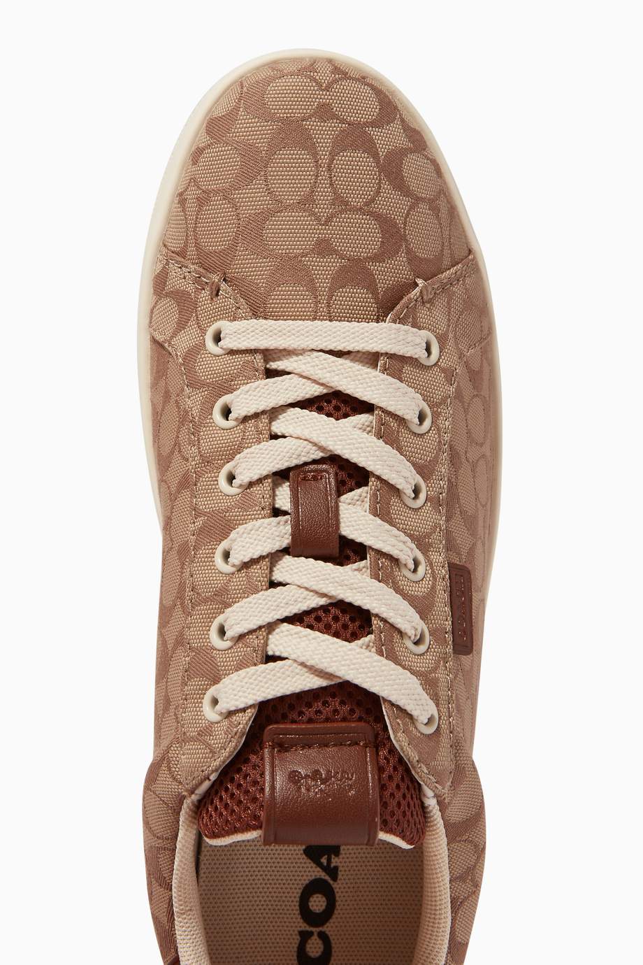 lowline signature sneaker coach