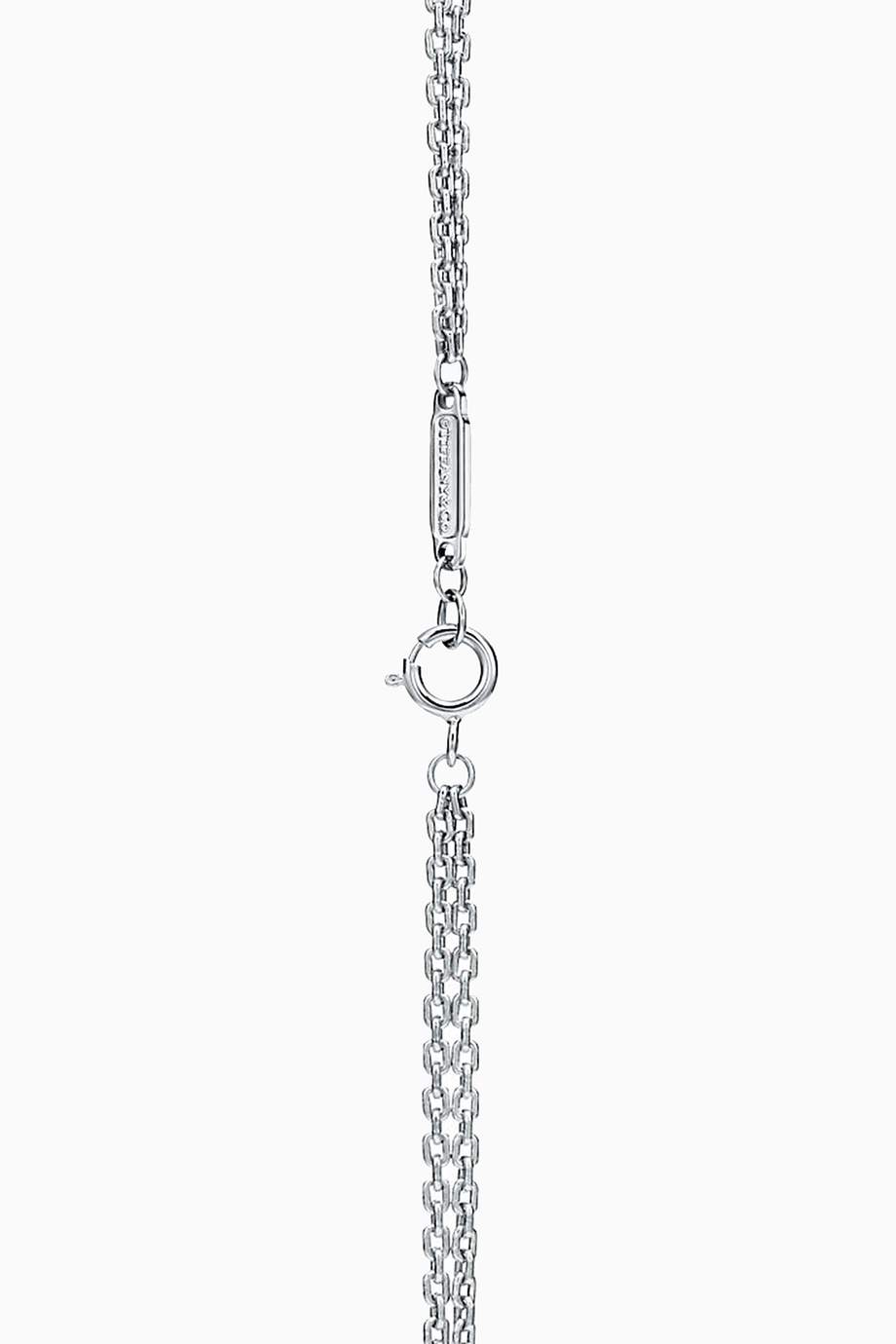 Shop Tiffany & Co. Silver Tiffany HardWear Double Link Pendant in ...