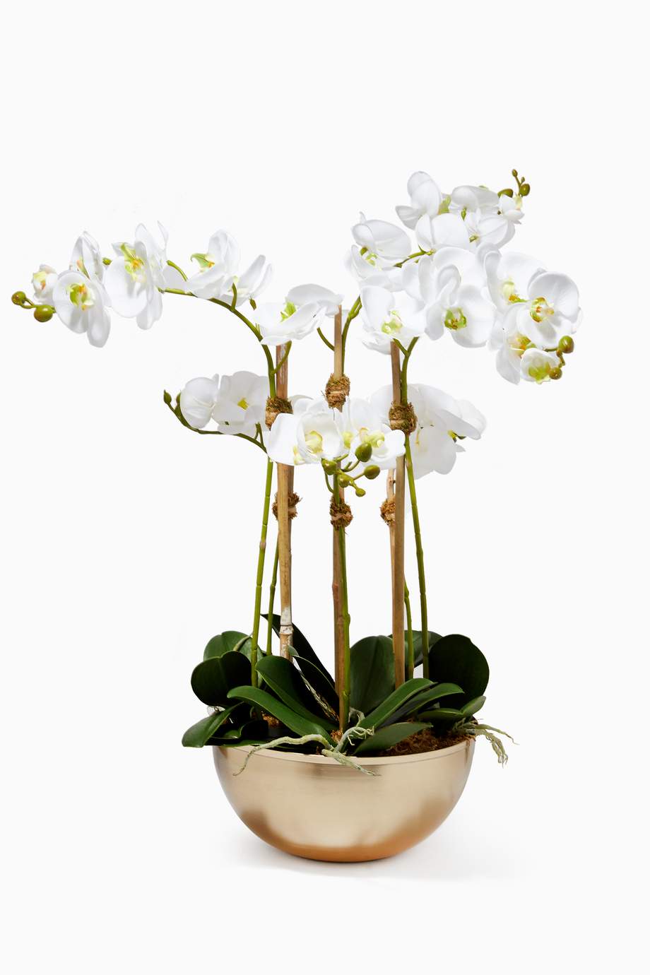Shop Bloomr White Small Artificial Orchid Arrangement with Metallic Gold Pot for Women Ounass