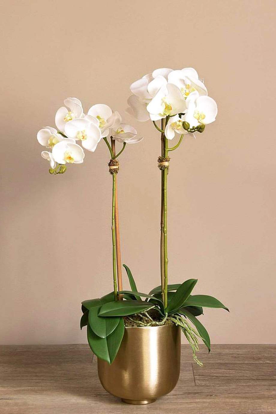 Shop Bloomr White Small Artificial Orchid Arrangement with Metallic Gold Pot for Women Ounass UAE